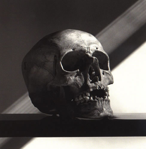 skull.jpg, 35 kB